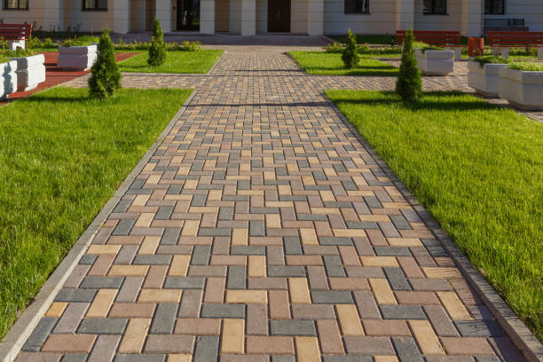 Best Driveway Paving Contractor  in Hamilton, AL